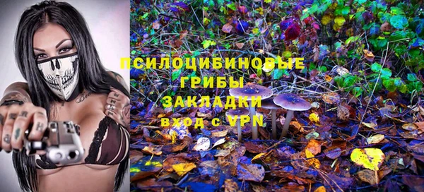 гидра Абинск