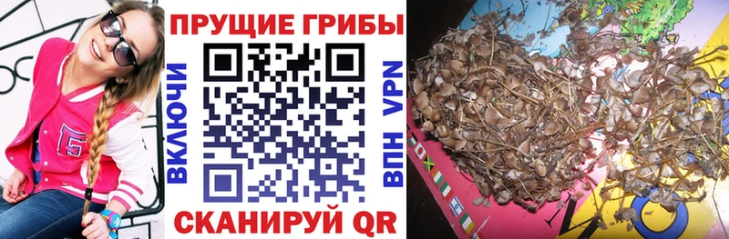 МЕГА рабочий сайт Удомля Галлюциногенные грибы прущие грибы